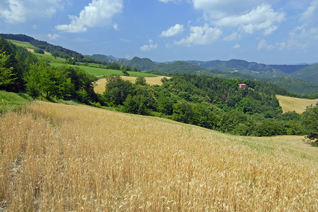 Villa Mazzino in Marradi, this luxury villa with swimming pool and garden, for up to 6 people, is available for holiday rental in Tuscany at the border with Emilia Romagna.