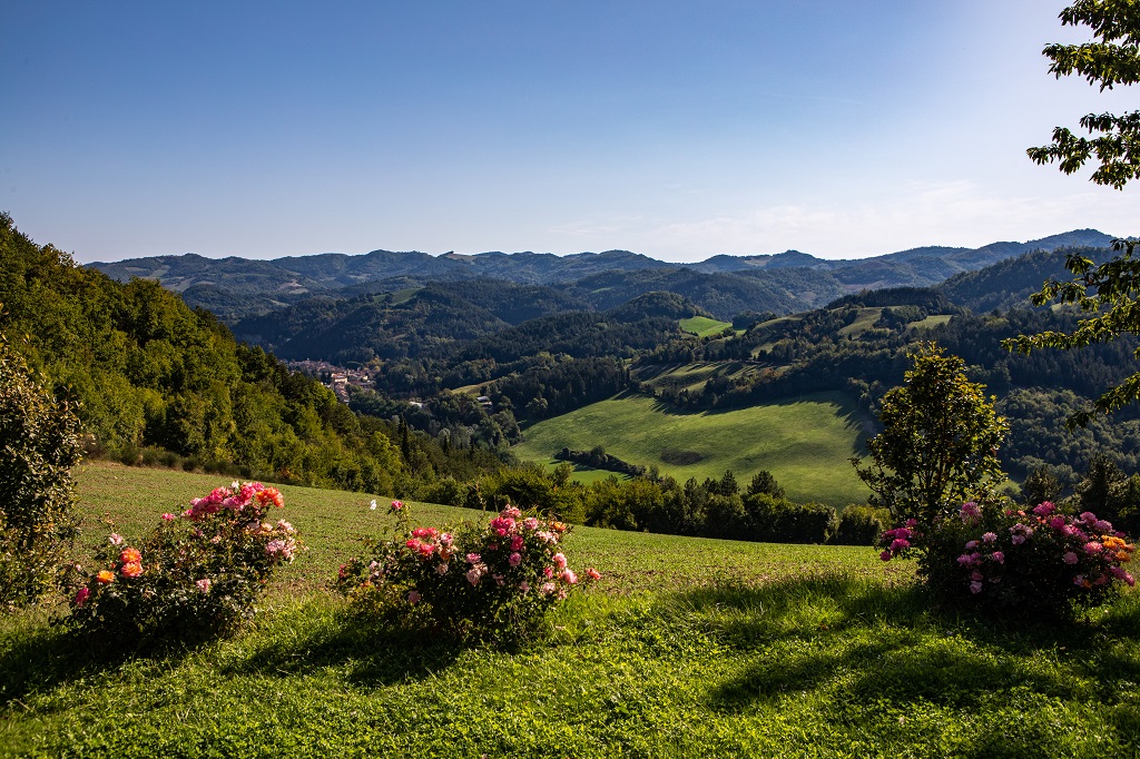 Villa I Vanzetti in Tredozio, this luxury villa with swimming pool and garden, for up to 14 people, is available for holiday rental in Emilia Romagna at the border with Tuscany. 