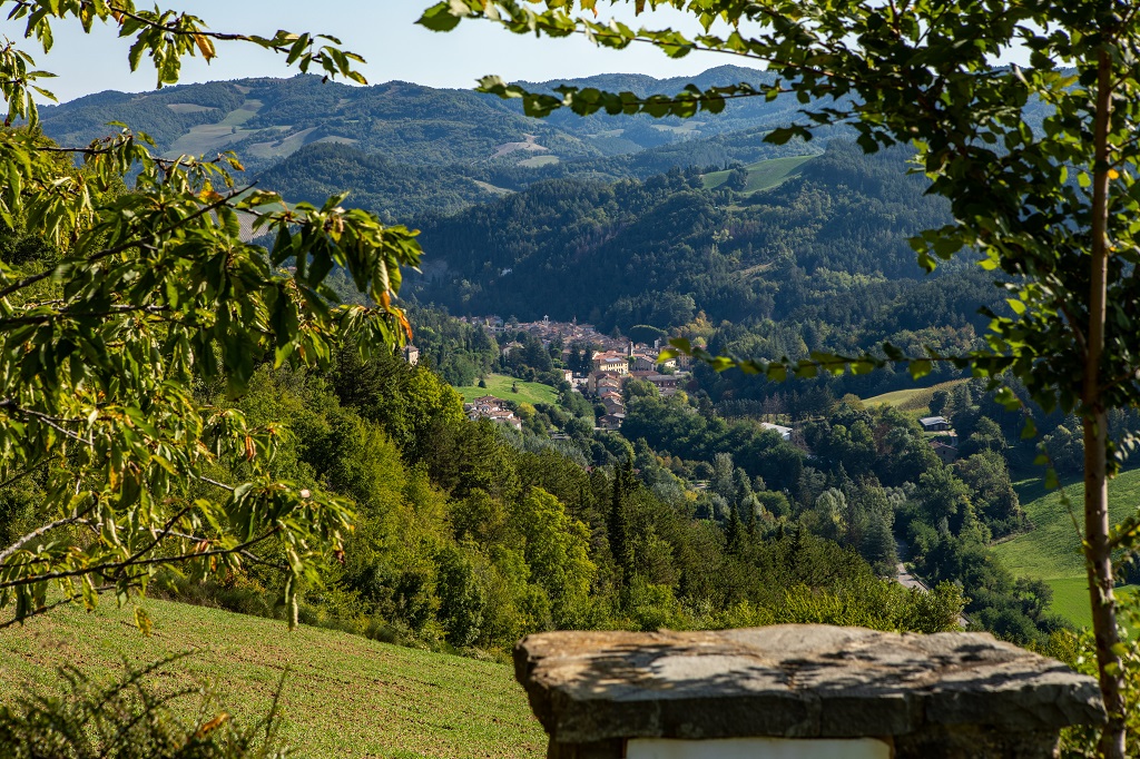 Villa I Vanzetti in Tredozio, this luxury villa with swimming pool and garden, for up to 14 people, is available for holiday rental in Emilia Romagna at the border with Tuscany. 